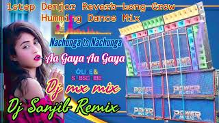 1step Denjor Reverb Long Crow Humming Dance Mix 2024-DjSanjib Remix