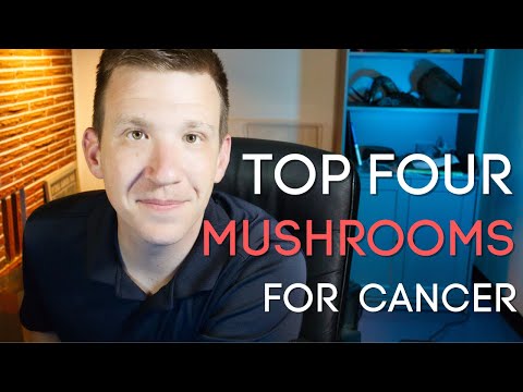 Top 4 Mushrooms for Cancer Fighters