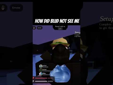 Sorry for a 4 week wait to deliver #roblox