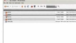 Create a WordPress Plugin with PHP in 10 Minutes