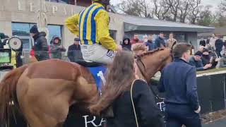 Rossie DRF Winners & Tips For Wednesday Feb 11th 