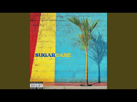 Sugarcane