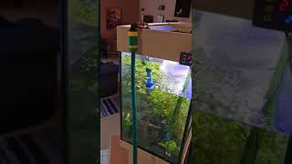 Upgraded DIY siphon/refill "Python" in action during winter.