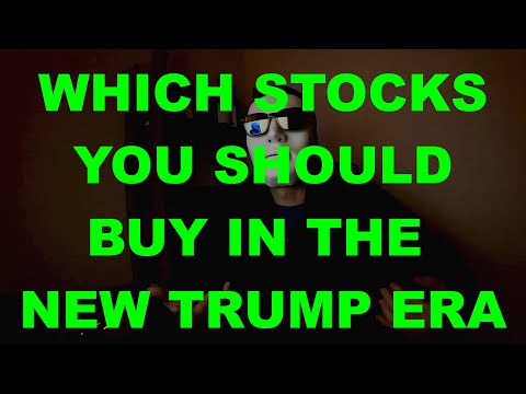 Which Stocks You Should Buy Under the New Trump Era