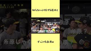 知らないふりをする近本とずっこける糸原w #阪神タイガース