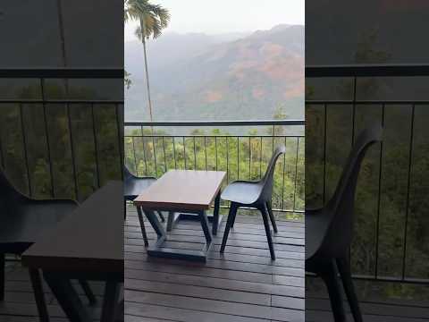 Simple moments 🌱🌼#nature #naturelovers #peaceful #peaceofmind