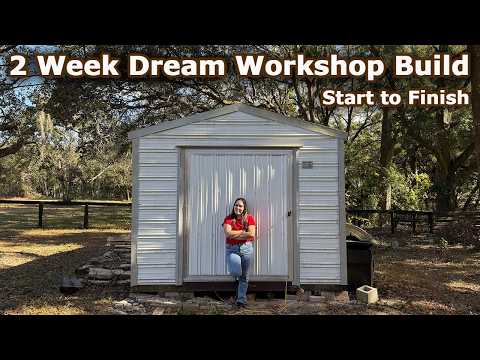 Turning my Messy Shed into the Workshop of my Dreams in 2 Weeks / Budget Workshop Transformation