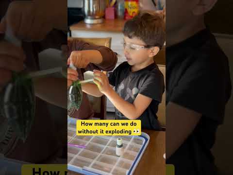 Kids experiment! #kindergartenvideos #kids #kidslearning  #learningvideosforkids #fyp#science