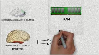 Human Brain Compared to a Computer  || Interesting Facts