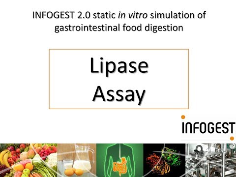 Lipase Activity Assay for the INFOGEST 2.0 Method for Food (2019 update in Nature Protocols)