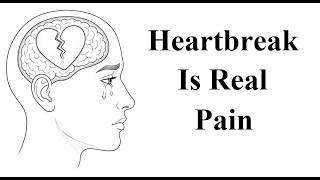 Why Breakups Hurt the Brain Like Physical Pain | Neuroscience Explained