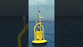 How Bees Make Honey #Shorts #Facts #DidYouKnow #QuickFacts