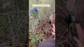 Python Hunting in the Everglades with #pythoncowboy #otto #everglades
