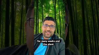 As a Man build your foundation first!