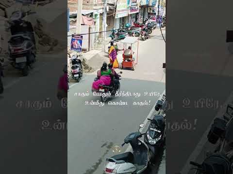 சாகும் போதும் தீர்ந்திடாது உயிரே, உன்மீது கொண்ட காதல்!♥️