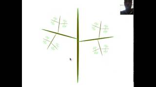 Recursive Tree Example in Processing
