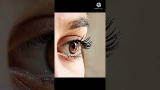 #shorts #tranding facts #viral videos