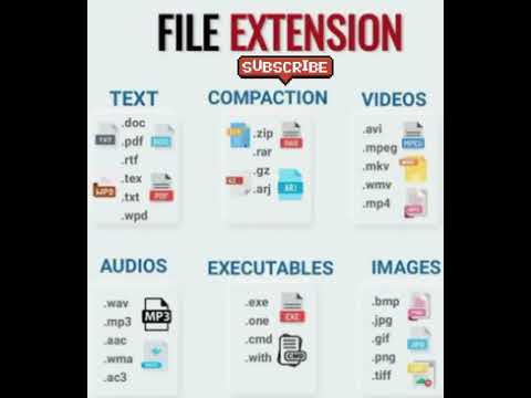 FILE EXTENSION FOR COMPUTER #file #extension #computerknowledge #computernetworks #shorts