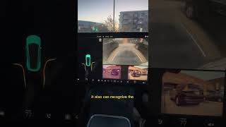 Tesla Vision Park Assist #automobile #teslamodely #tesla #teslatips