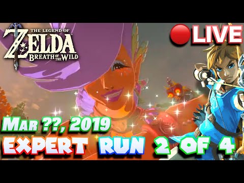 🔴Special Streams | Recovered BOTW Expert Master Mode Run Stream (2/4) [March ??, 2019]