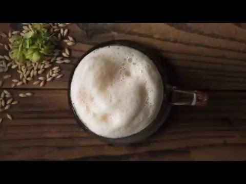 FichtelgeBIERge - Geschichte(n) rund ums Bier von Hier