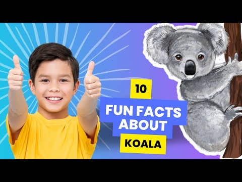 Koala Bear: 10 Fun Facts About Koalas for Kids!