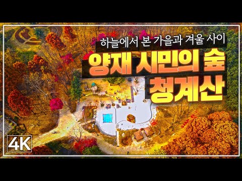 [언택트 드론 여행 4K] 양재시민의 숲, 청계산 /  Non-contact Drone Travel in Korea