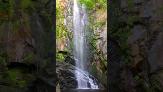 Stunning Waterfall #nature #stressrelief #relaxationvideo