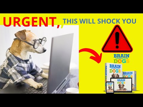 BRAIN TRAINING FOR DOGS Unlocking Your Dog's Genius  A Comprehensive Review