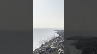 Pong Dam | Himachal Pradesh district Kangra | Uni vlog BAMS #travel #pongdam  #catchthewave149