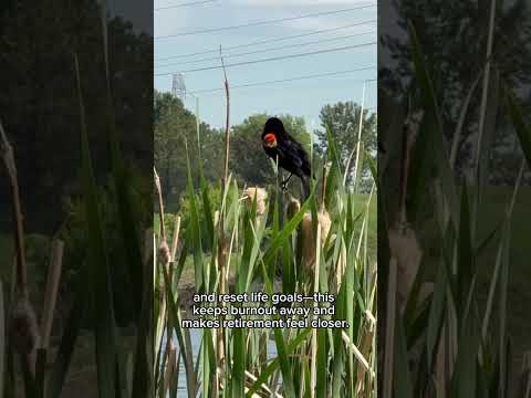 Money Hack #1 #moneyhacks #thinkrich #fyp