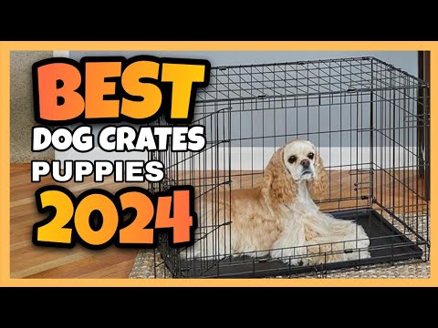 TOP 5:✅ BEST DOG CRATES(KENNELS) FOR PUPPIES 2024-2025 || #dogkennel #dogcrate #dogkennels
