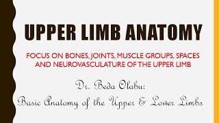 ANATOMY OF THE LIMBS PART 2 - OVERVIEW OF UPPER LIMB ANATOMY