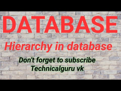#database hierarchy #databaseTutorials #studymaterial