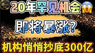 美股投资｜即将Taco暴涨?资金悄悄入场300亿!20年罕见买入机会.｜美股趋势分析｜美股期权交易｜美股赚钱｜美股2026