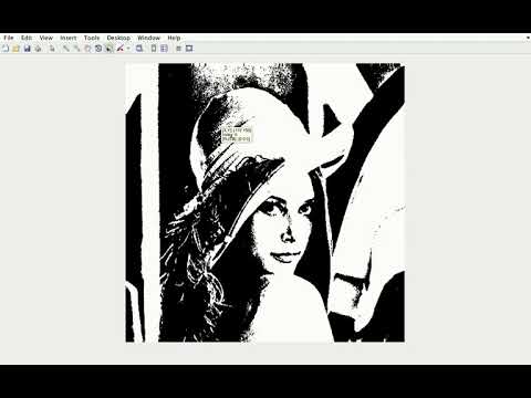 INFO430 Multimedia - chap2 sec 1 - Image Data Types