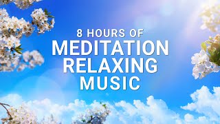 432Hz Meditation Music | Spring Vibes | Raise Positive Vibration | Calm, Nature, Birds | Dr. Janine