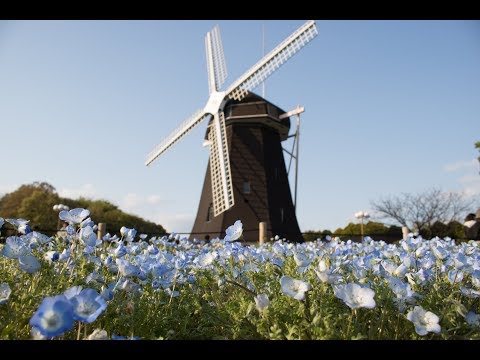 Osaka Japan: Tsurumi Ryokuchi Park |  Travel Video