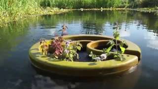 OLIVE  The world's first Organic Pools floating biofilter