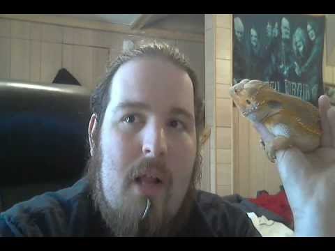 Hated Patiot Ep. 27 Rise of the Fascist Power