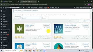 How To Clean Expired Transients in Hostinger WordPress