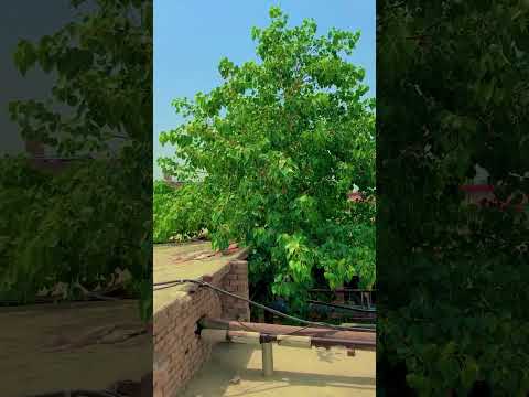 Machine ke andar kia hota hai ||Aftabmultanivlogs ||