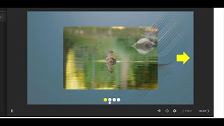 Articulate storyline 360 carousel interactive button (Part 2)