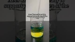 Cool science + the best learning program on the market