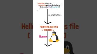 Why is java called platform independent language?  #java #education #interview #tips #trend