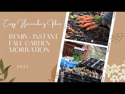 Instant FALL GARDEN MOTIVATION [short form] 2022