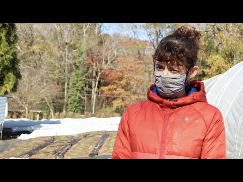 Holiday Season at R&R Secret Farm: Package 2