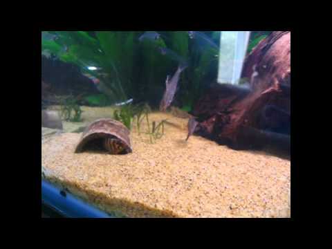 A tour of the tank