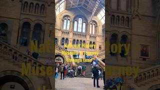 National History Museum London