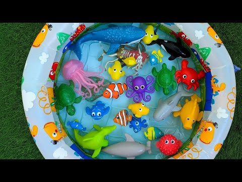 Learn Ocean Animals for Kids | Sea Animal Toys and Fun Facts for Toddlers